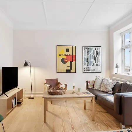 Ae208-aeroskobing-brogade-4